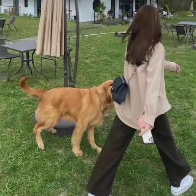 万万没想到第一季